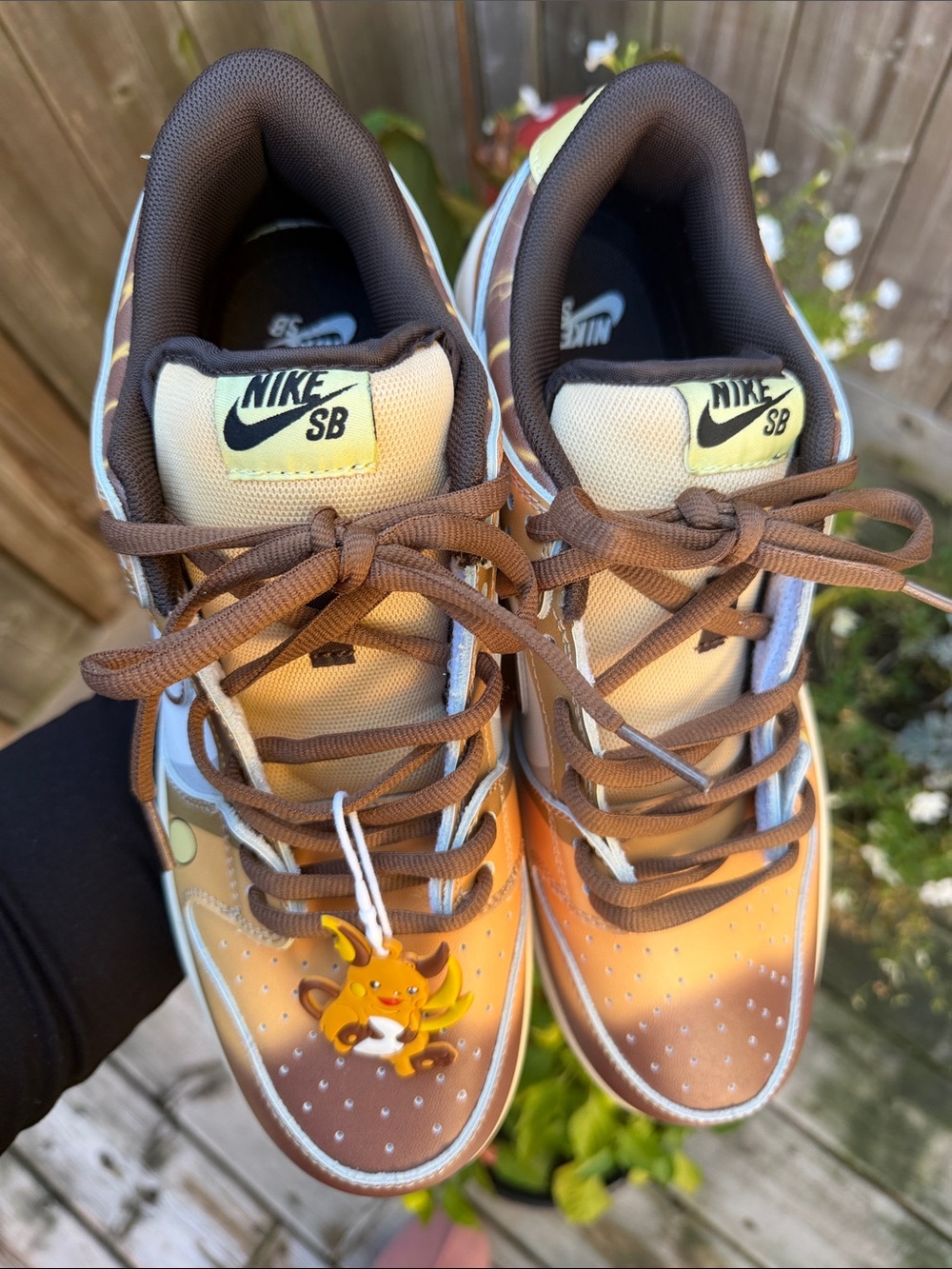 Nike SB rare collectible Brown and Tan Skate Shoes NWOT